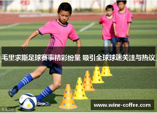 毛里求斯足球赛事精彩纷呈 吸引全球球迷关注与热议